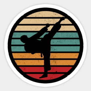 Karate Kick Retro Sun Karate Fighter Sticker